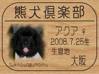 �}�b�N�X�}�}����̂a�k�n�f�ւf�n�I